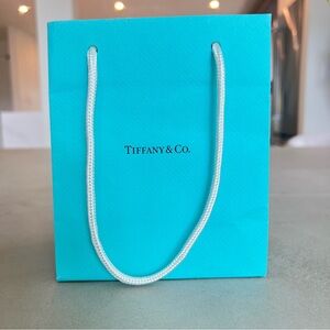 TIFFANY & CO Paper Shopping bag, small